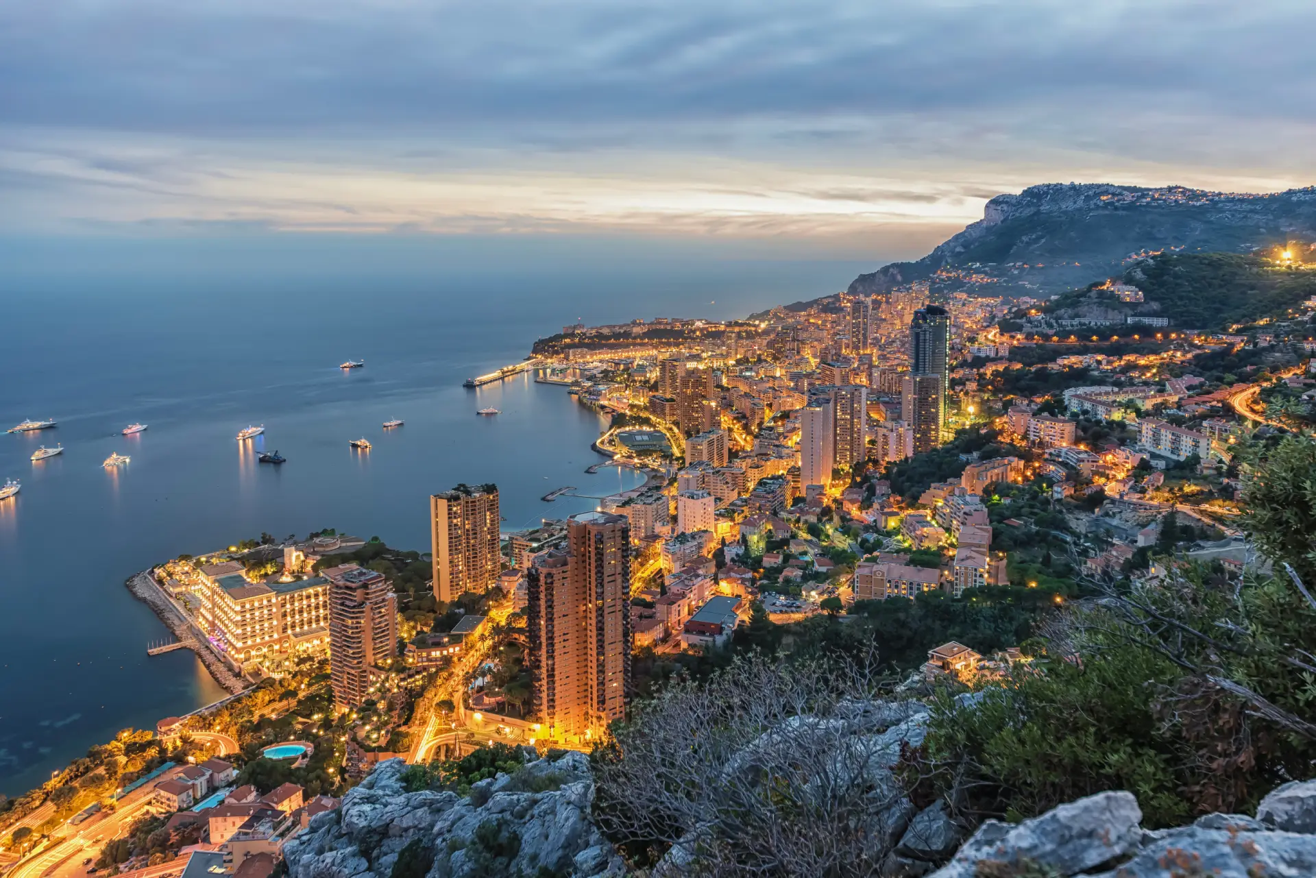 Monaco Luxury Properties