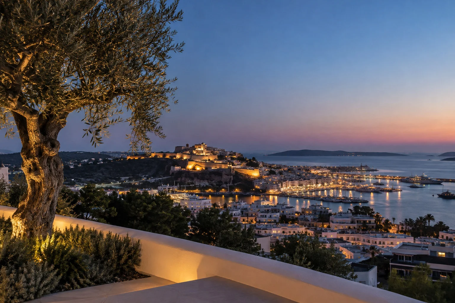 Dalt Vila and Ibiza harbour at dusk from a hillside terrace.